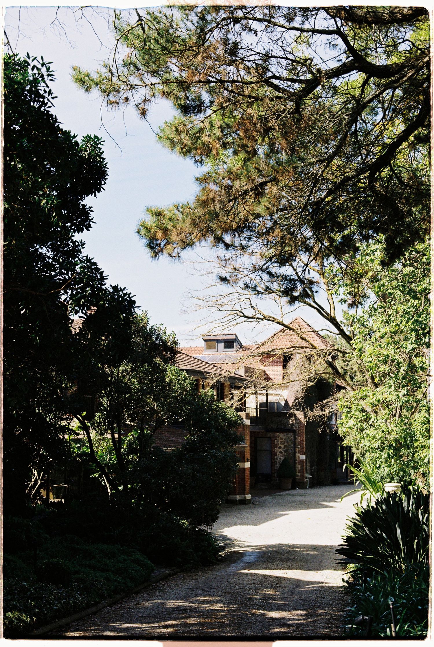 Sunlit garden pathway leads to a charming brick building surrounded by tall trees and lush greenery.