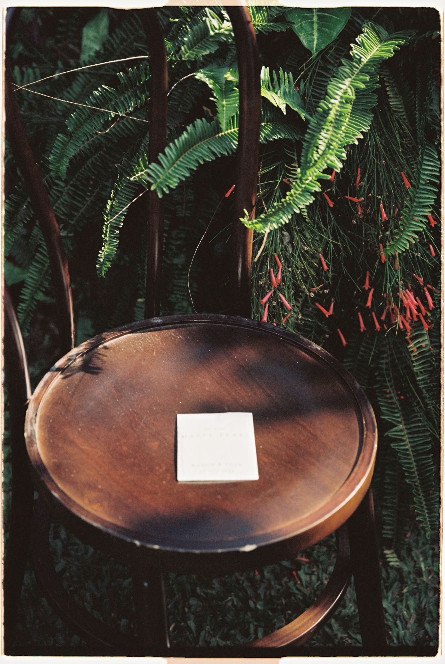 Vintage wooden chair with white card resting on seat surrounded by ferns and red flowers outdoors.