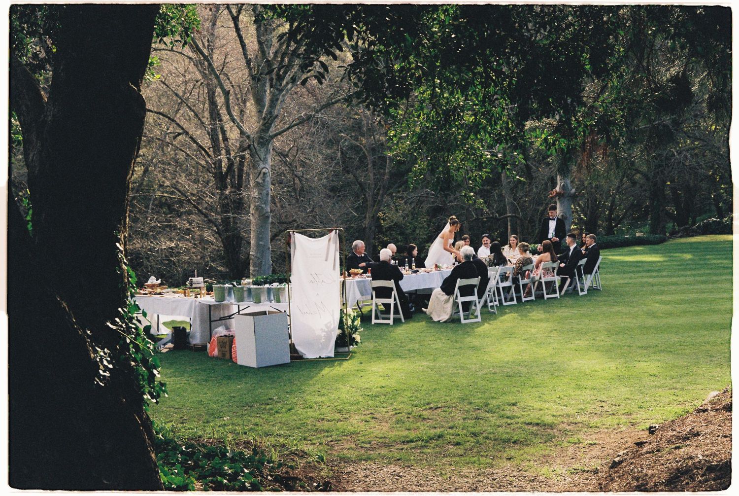 Intimate outdoor wedding ceremony on lush green lawn surrounded by tall trees.