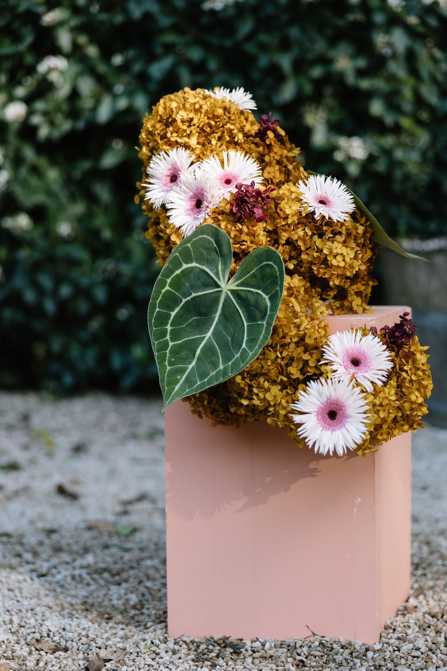 Pink gerbera daisies and golden hydrangeas arranged with a green anthurium leaf in a blush pink cube vase outdoors.