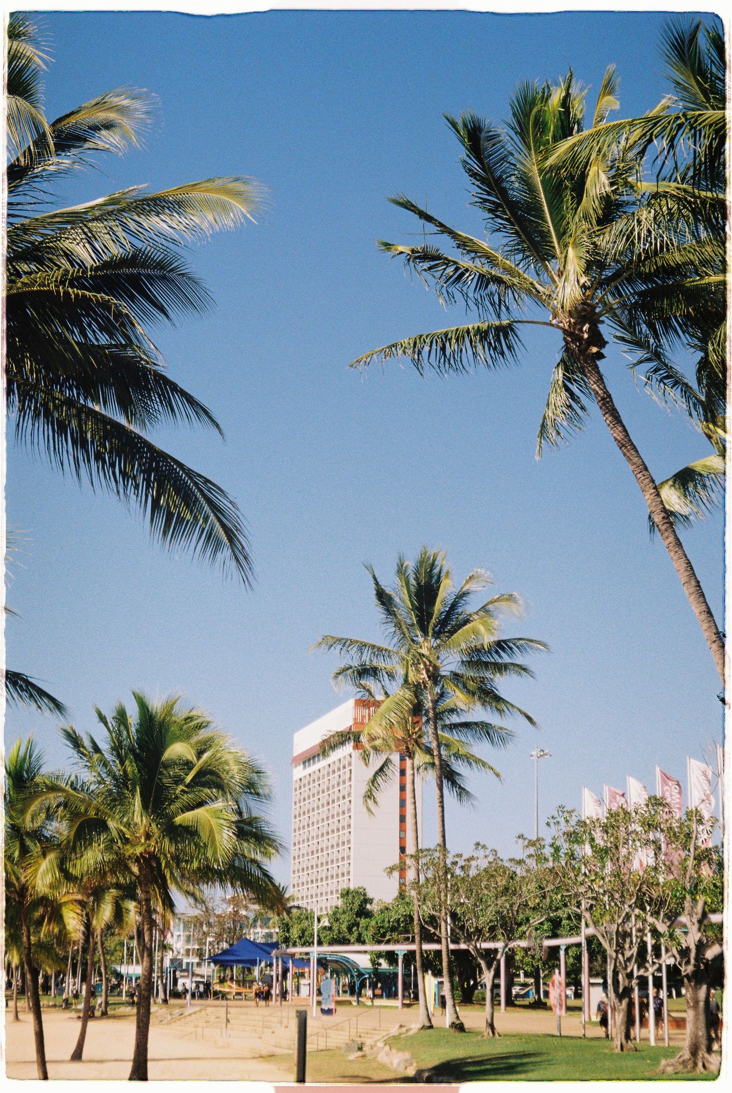 Tropical beach scene with tall palm trees swaying against a clear blue sky near a coastal hotel.