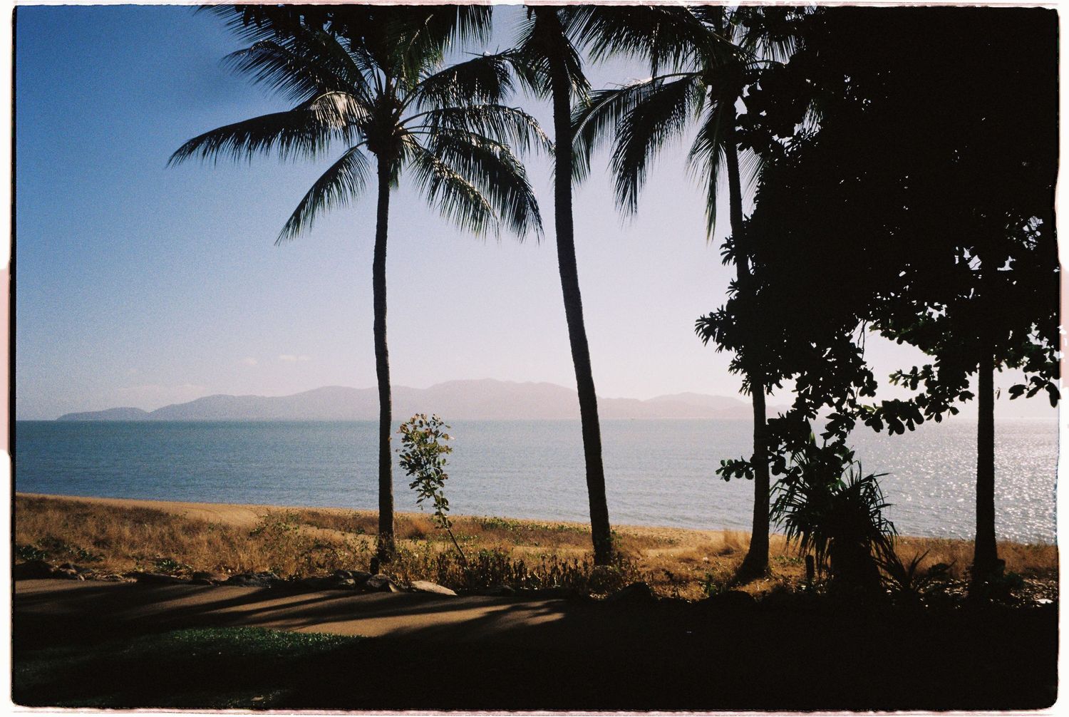 Tropical beach scene with tall palm trees silhouetted against a calm blue ocean and distant mountains under a clear sky.