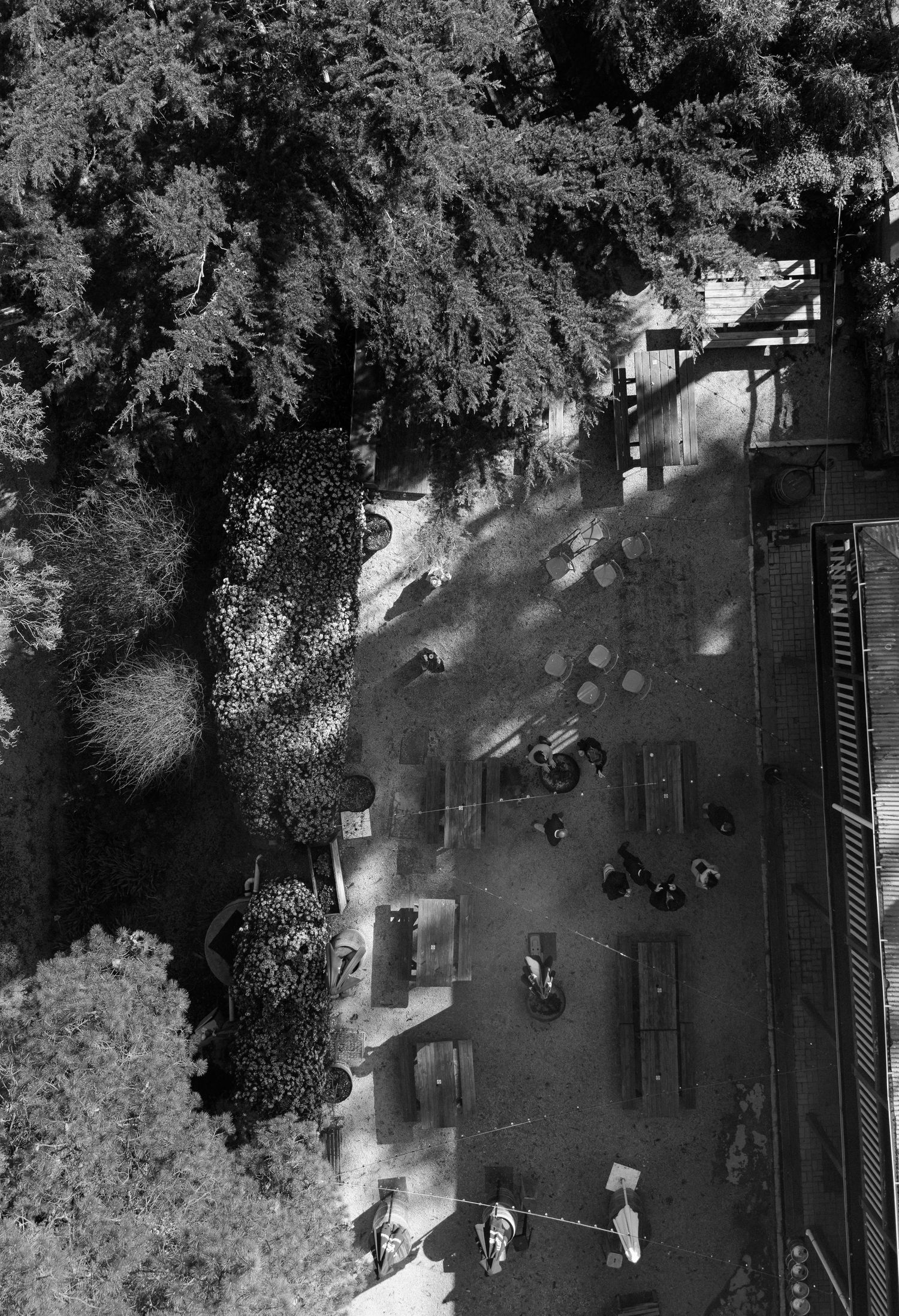 Aerial black and white photo of a shaded courtyard with trees, tables, and people casting long shadows.