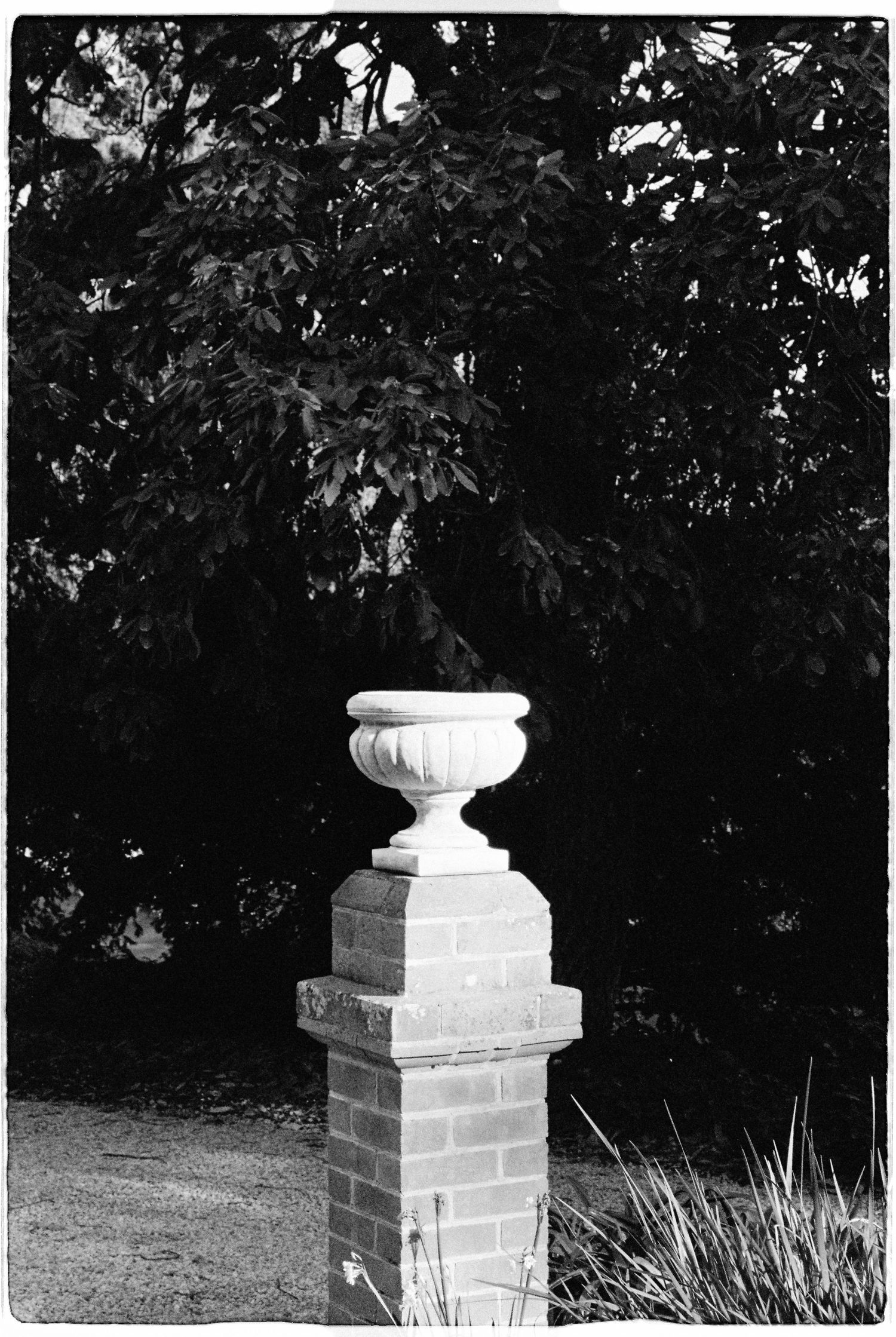 Black and white photo of a decorative stone urn on a brick pedestal surrounded by trees.