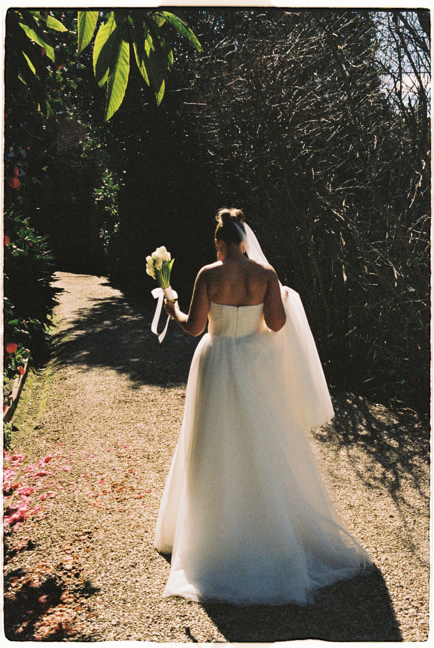 Bride in a white strapless ball gown and veil walking along a sunlit garden path holding a bouquet.
