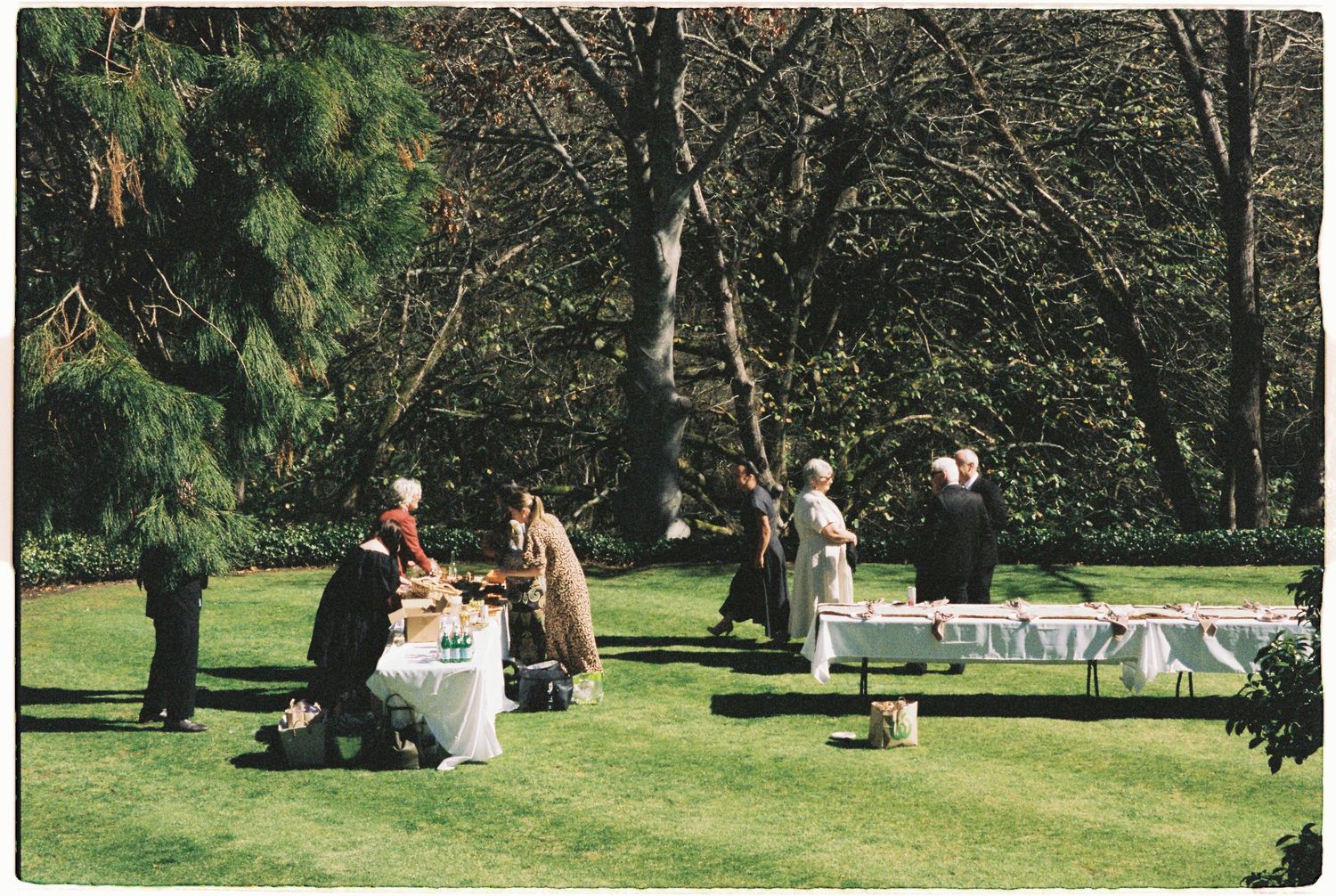 Wedding guests mingling around decorated tables on a sunny green lawn surrounded by tall trees.