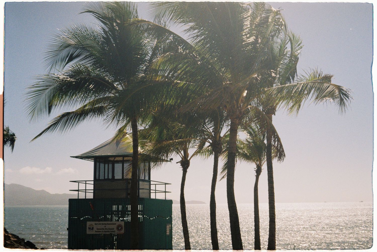 Tall palm trees sway near a lifeguard tower overlooking a calm ocean at golden hour.