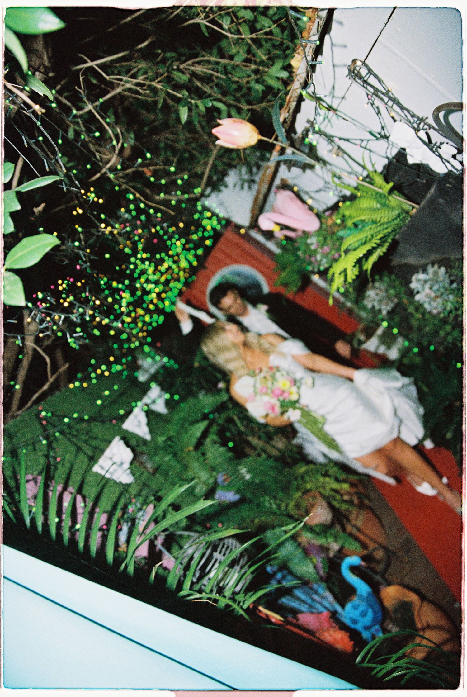 A couple poses romantically in a lush garden setting surrounded by tropical plants and colorful foliage.