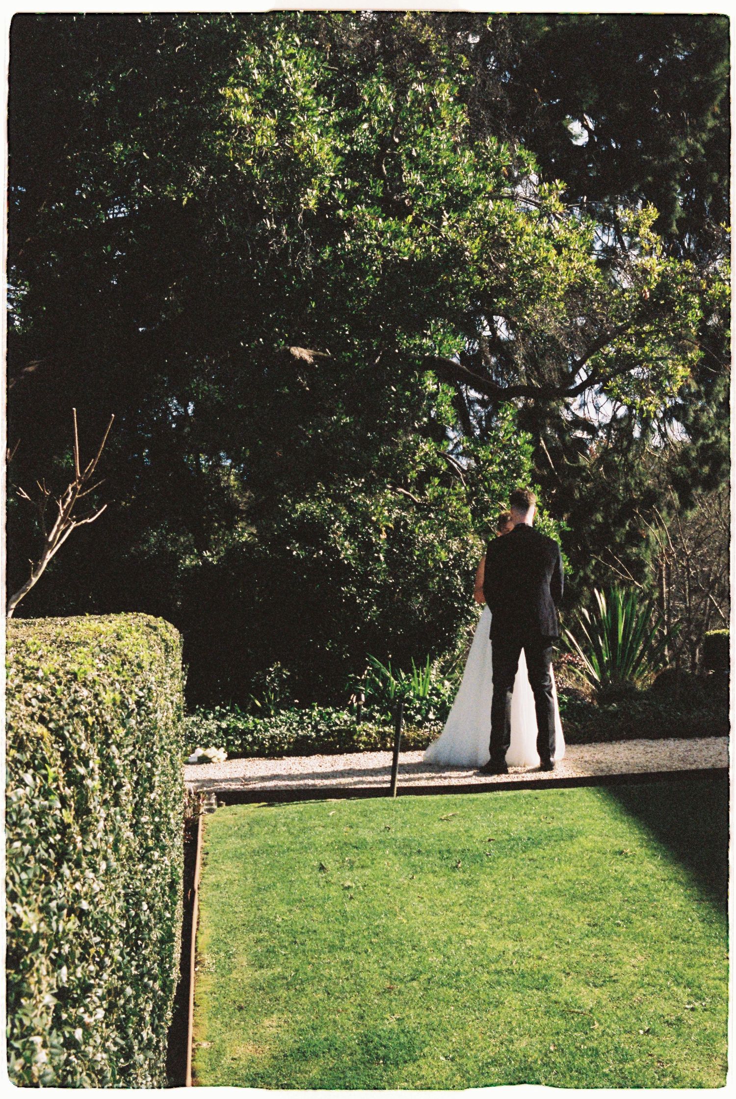 Bride and groom stand together in a lush garden pathway surrounded by manicured hedges and tall trees.