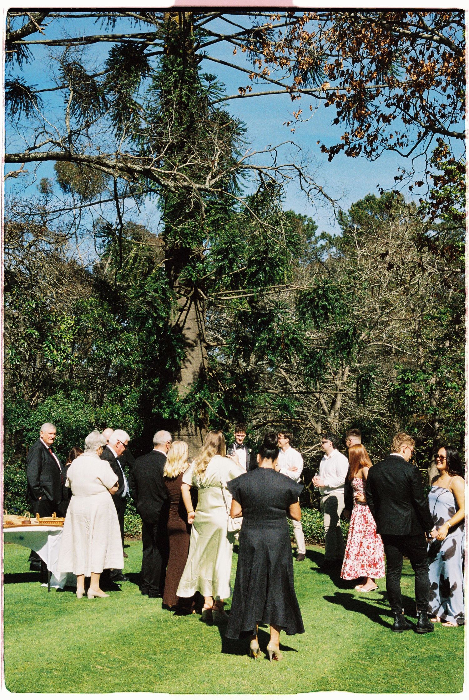 Guests mingling outdoors on green lawn surrounded by lush trees at an elegant garden wedding reception.