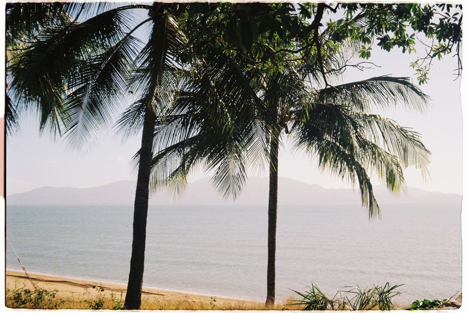 Tall palm trees frame a serene tropical beach with calm ocean waters and misty mountains in the background.