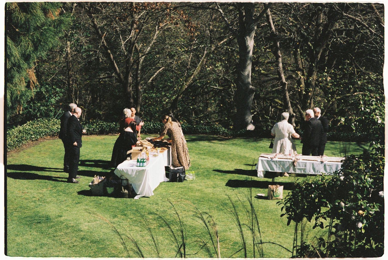 Elegant outdoor wedding reception on a sunny lawn with guests gathered around white-draped tables surrounded by lush trees.