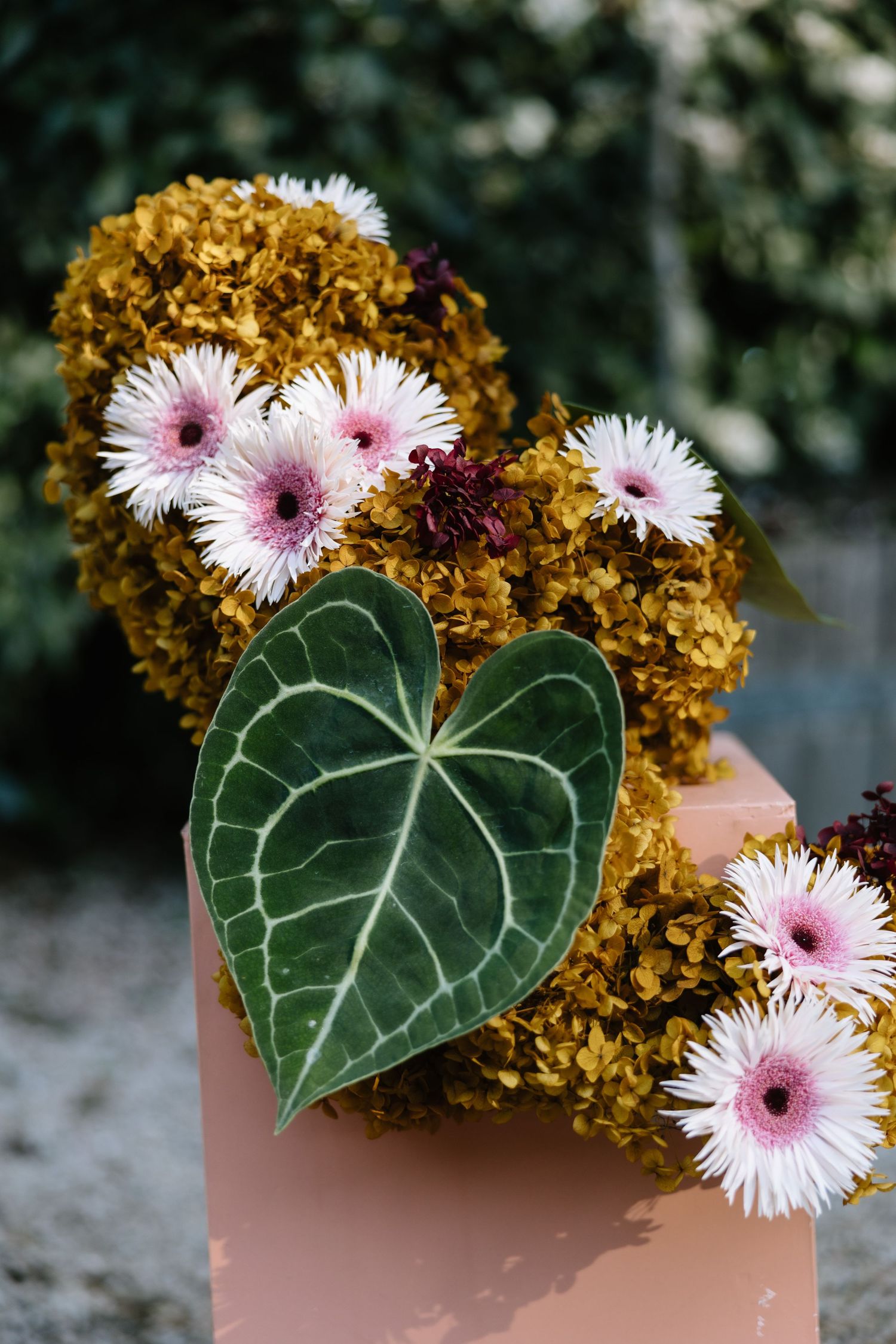 Floral arrangement with pink gerbera daisies, dried golden hydrangeas, and a heart-shaped green anthurium leaf on a pink pedestal.