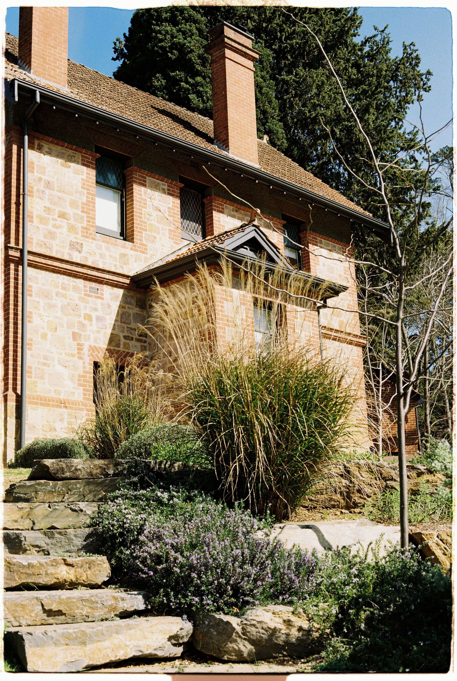 Historic sandstone brick building with ornamental grasses and lavender garden on stone steps in sunlight.