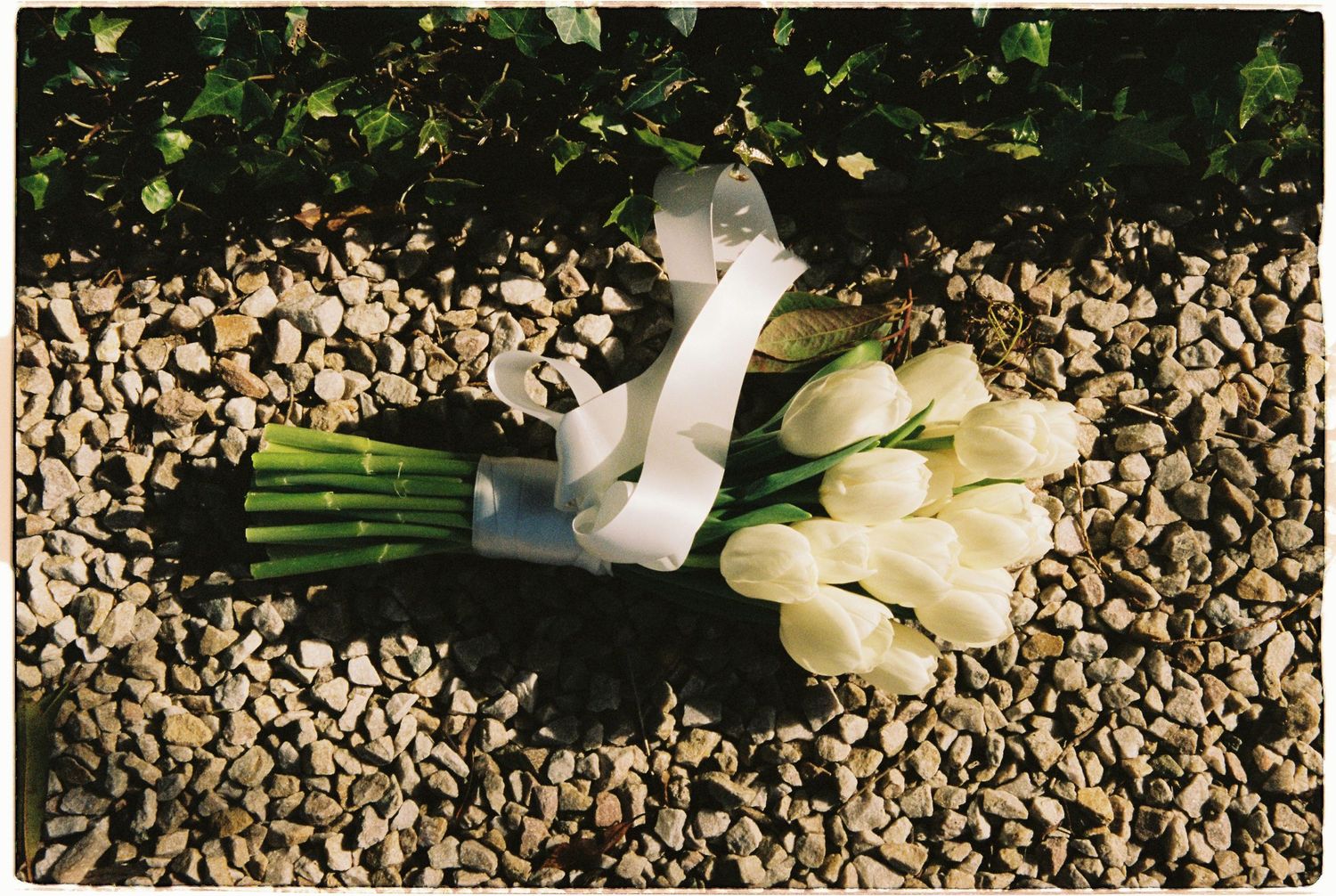 White tulip bridal bouquet with ribbon lying on decorative gravel.