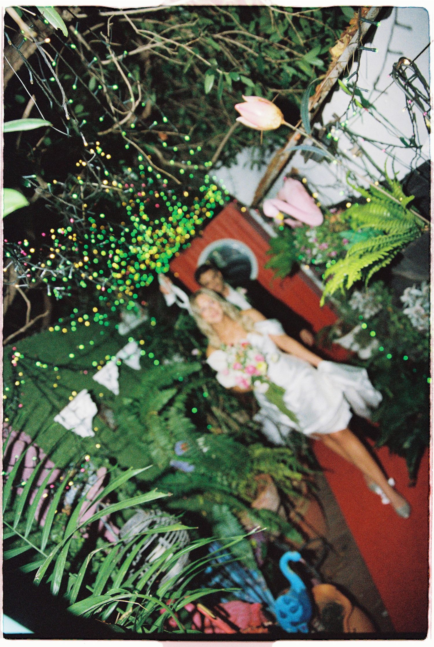 Wedding couple embraces surrounded by tropical ferns and colorful fairy lights in a lush garden setting at night.
