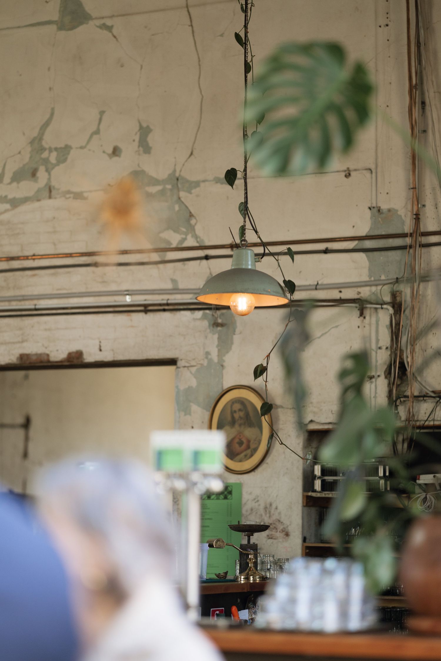 Rustic industrial interior with vintage pendant light and monstera plant on weathered wall.
