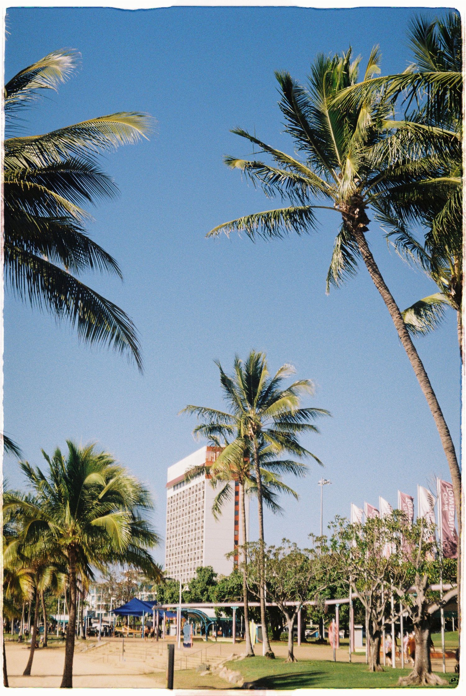 Tall coconut palm trees sway near a beachside park with a hotel building visible under a bright blue sky.
