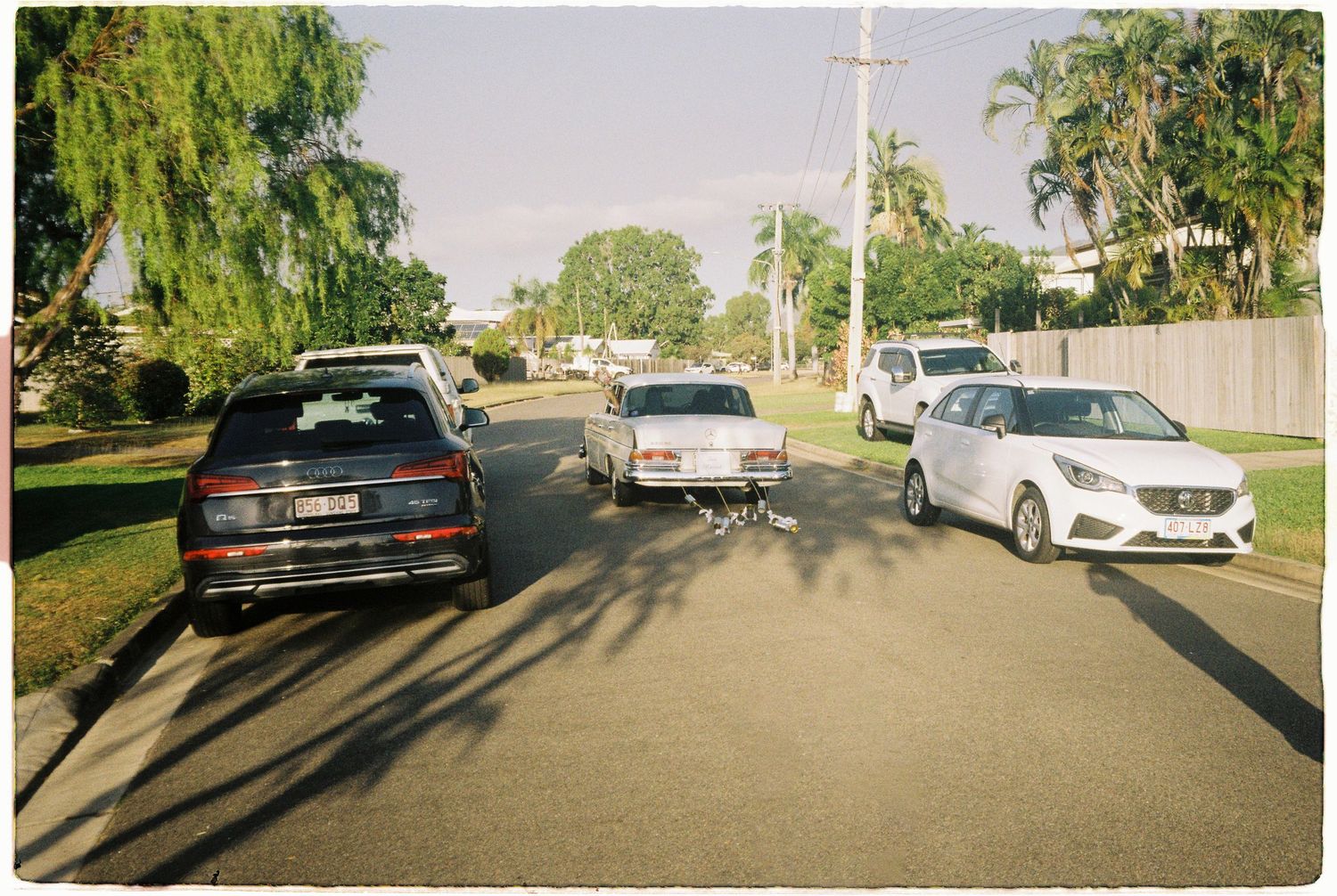Cars parked along a sunny suburban street lined with palm and weeping willow trees.
