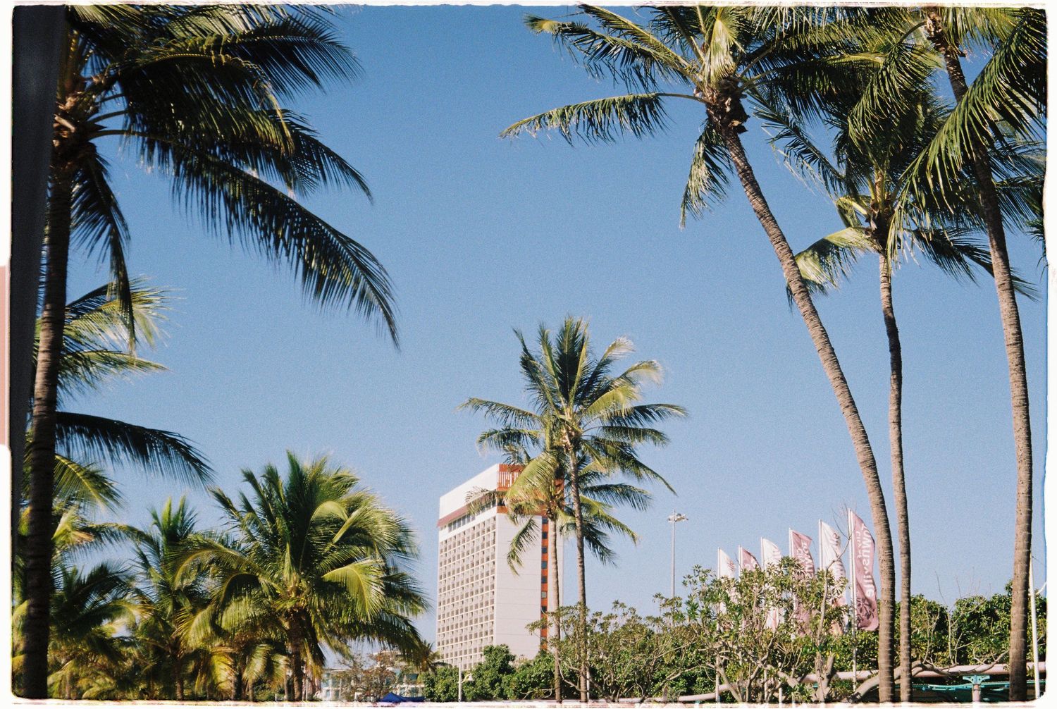Tropical palm trees frame a white hotel building against a clear blue sky in a sunny coastal destination.