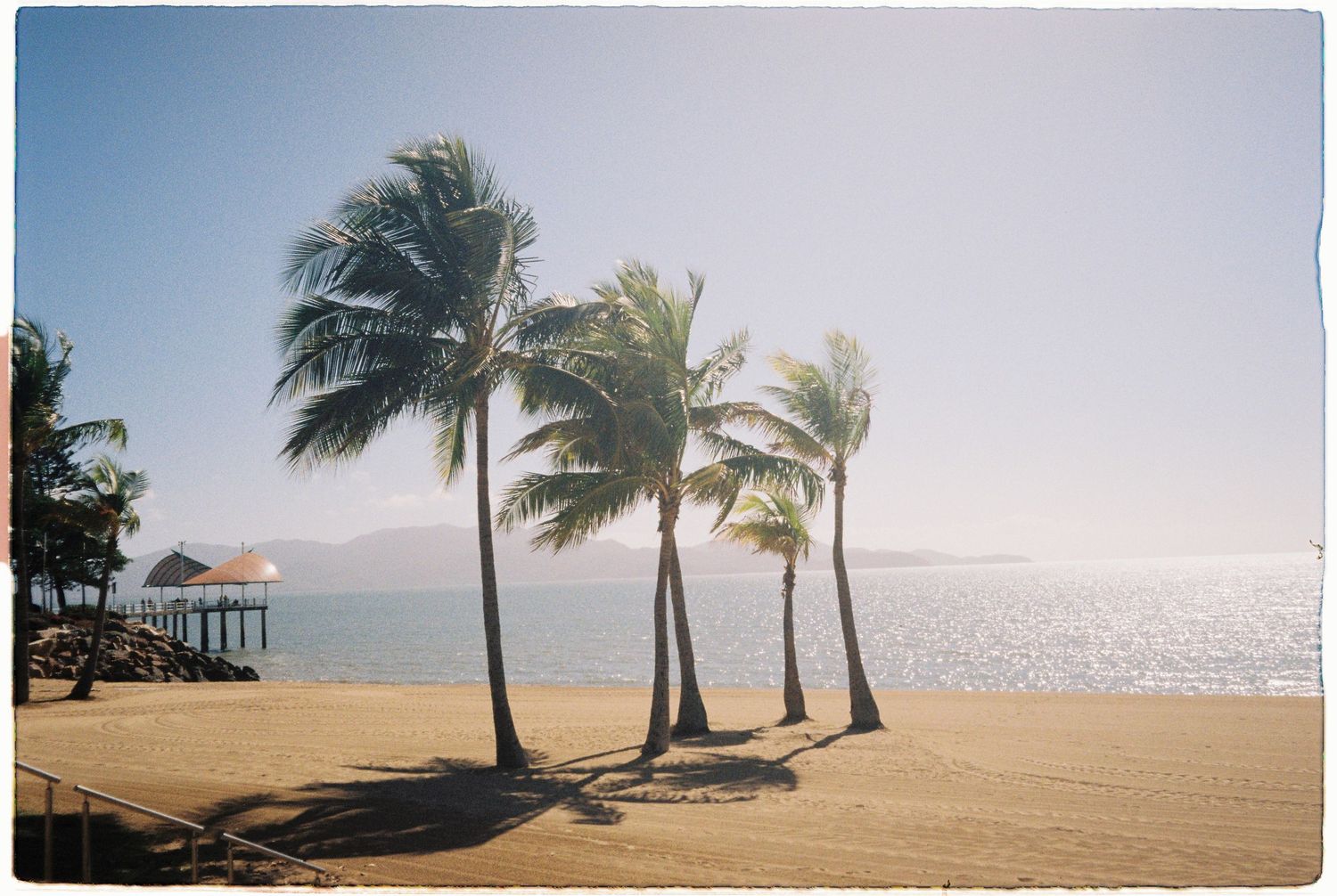 Tropical beach scene with tall palm trees on golden sand beside calm ocean waters at sunrise.