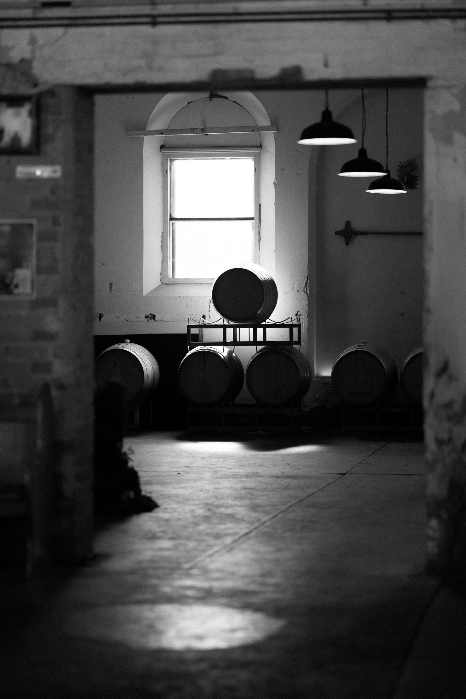 Black and white photo of a rustic winery interior with oak barrels, arched window, and pendant lights.