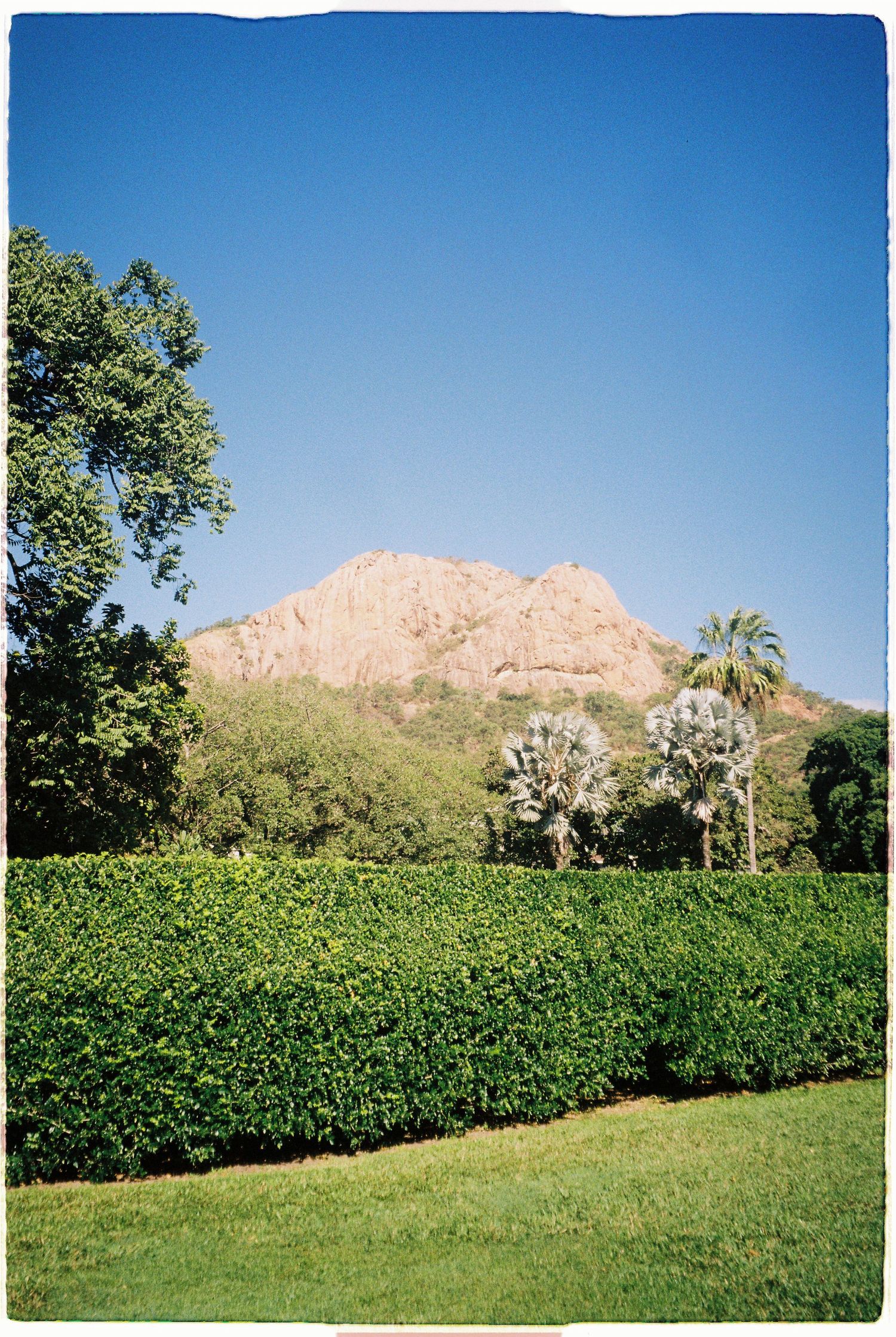 Lush green hedge and palm trees frame a rocky granite mountain under a clear blue sky in a tropical landscape.