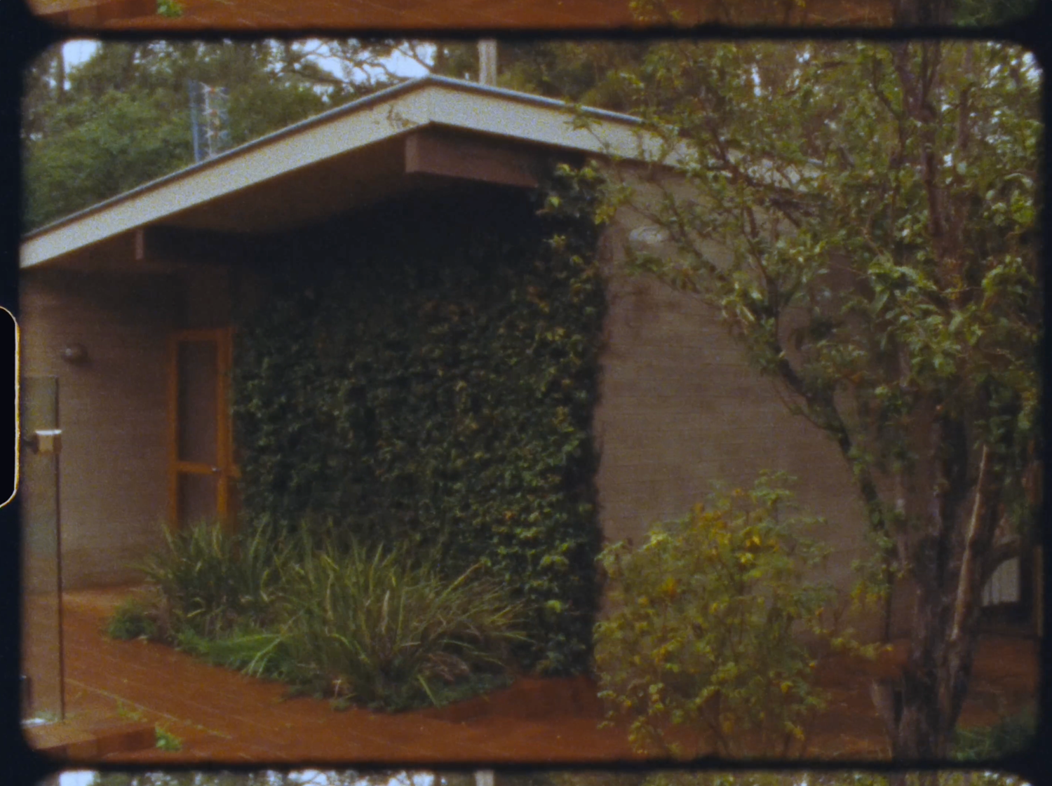Ivy-covered concrete building exterior with lush green plants and red soil garden in a wooded setting.