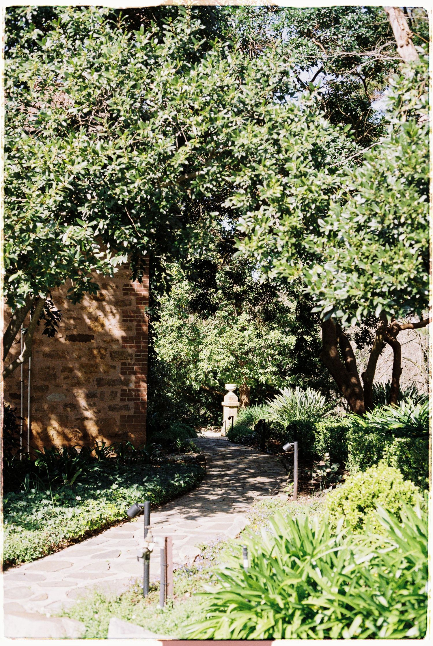 Tranquil garden pathway lined with lush trees leading to a stone garden ornament.