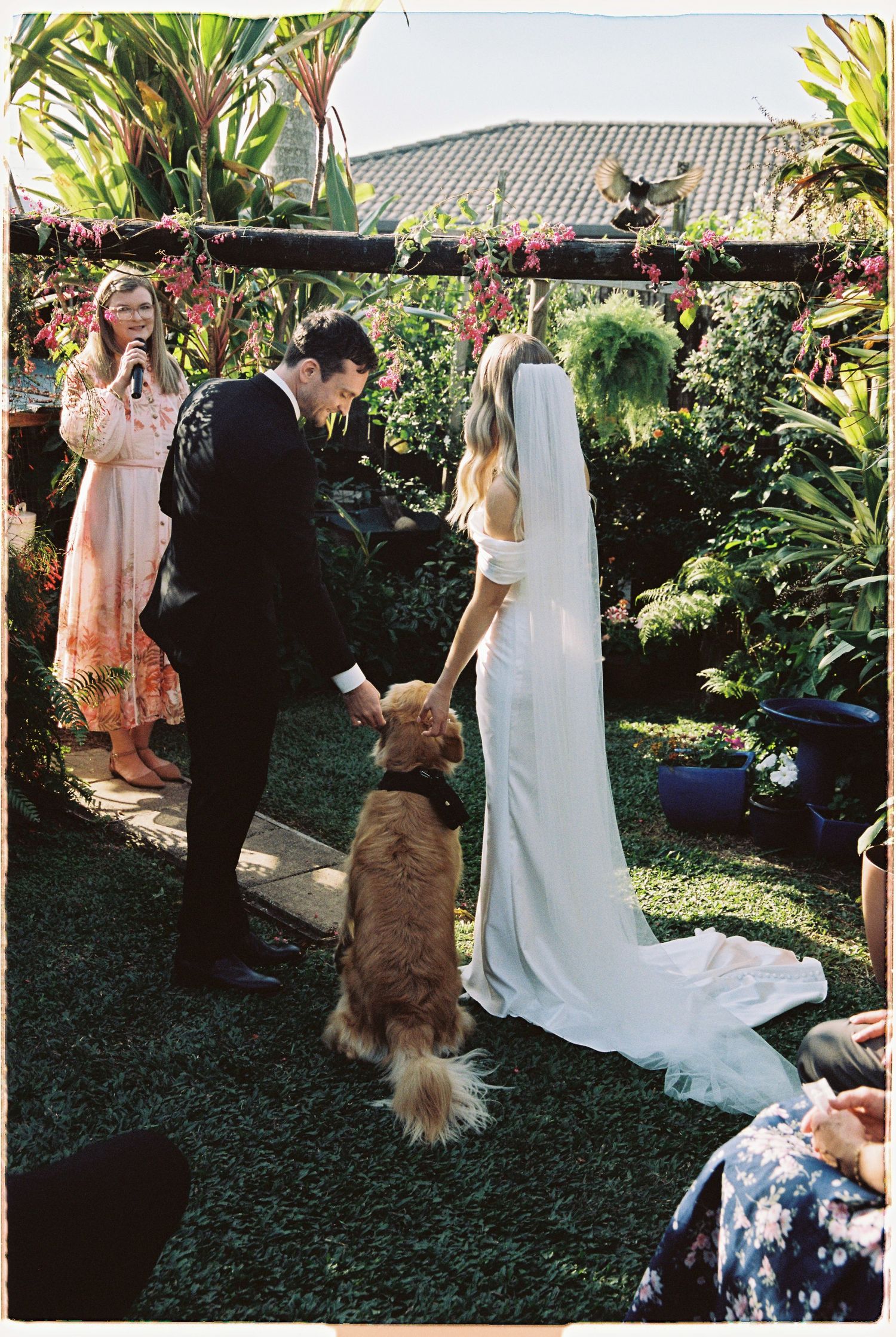 Bride and groom petting their golden retriever dog during outdoor garden wedding ceremony.