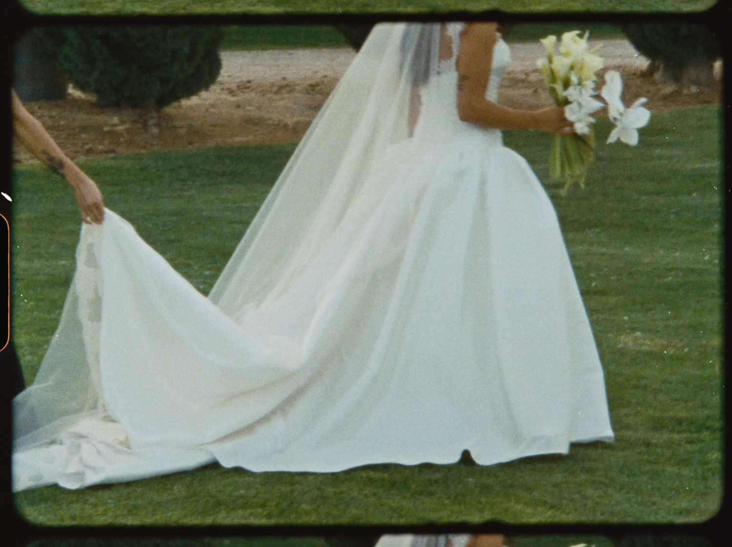 Close-up of elegant bride in flowing white ball gown with long cathedral veil on green grass.