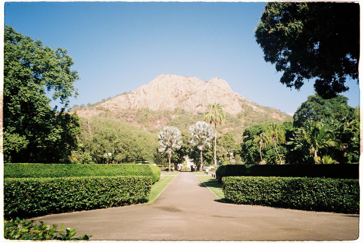 Lush garden pathway lined with manicured hedges leading to a rocky mountain peak under a clear blue sky.