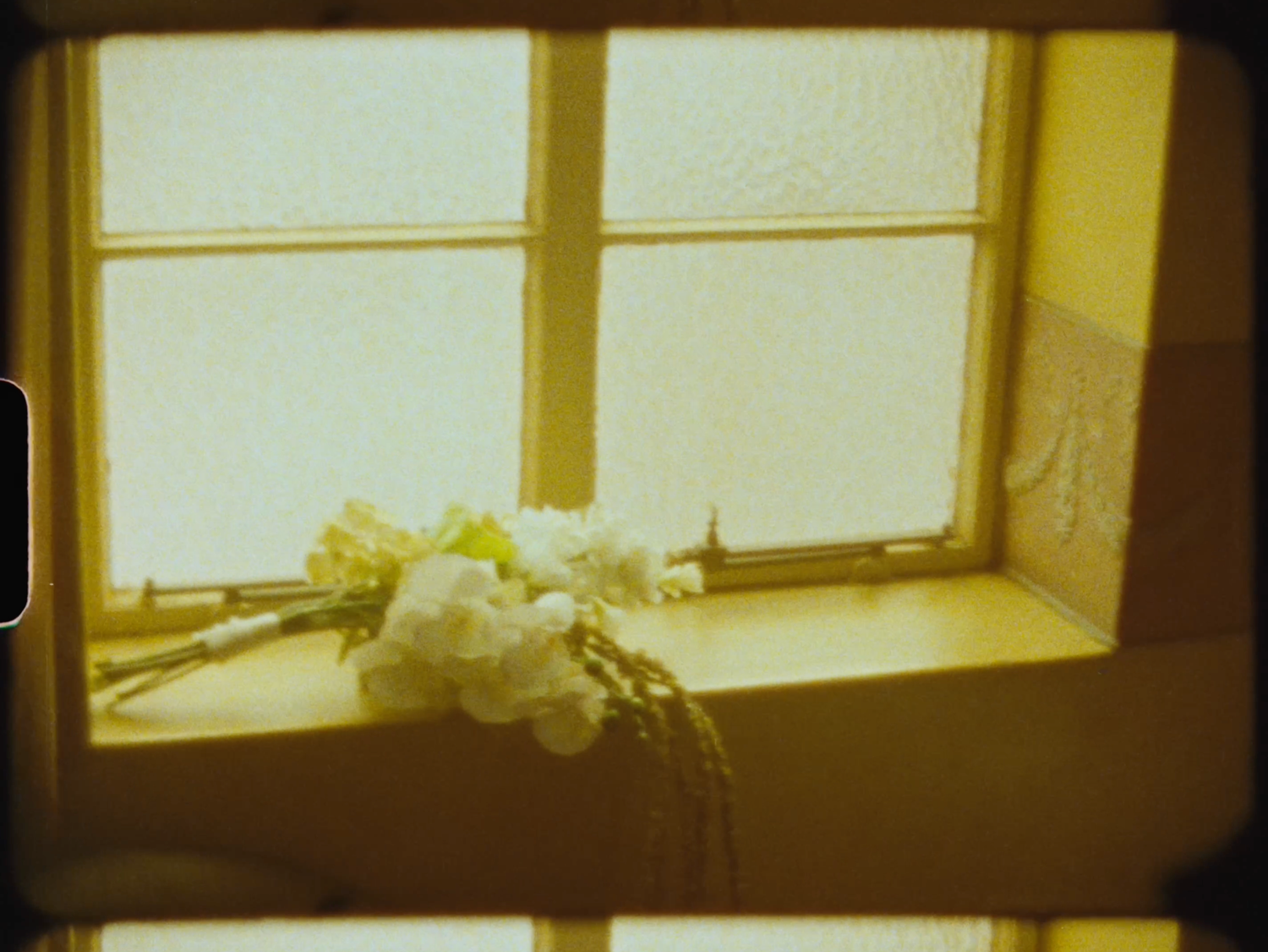 White flowers rest on a sunlit windowsill with frosted glass panes.