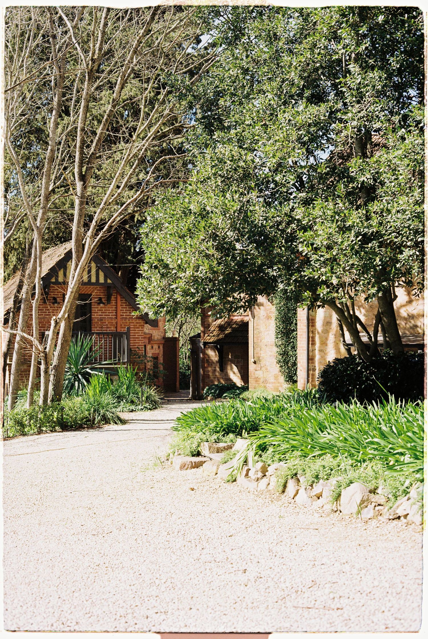 Rustic brick wedding venue surrounded by tall trees and lush greenery along a gravel path.