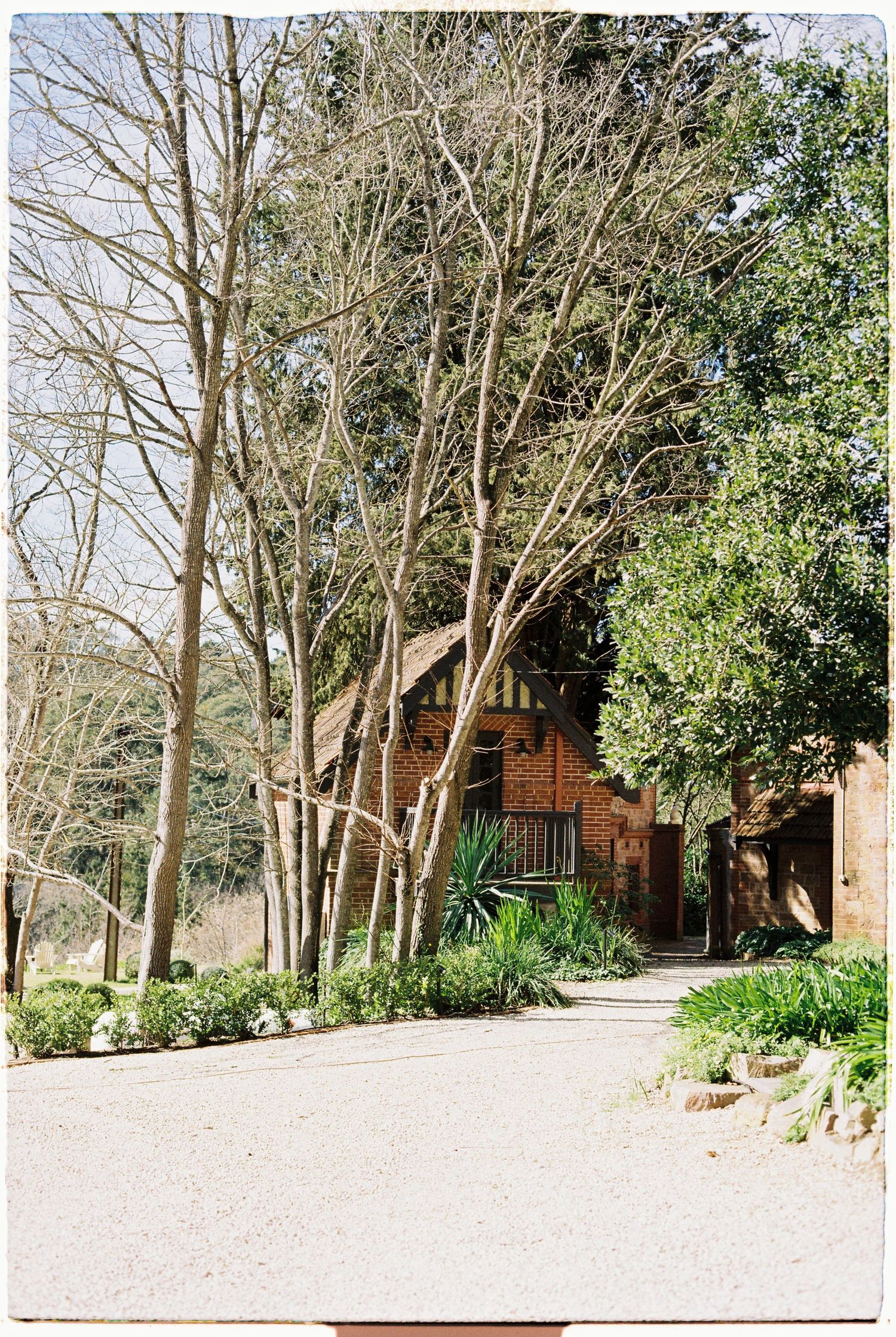 A charming rustic brick building surrounded by tall bare trees along a gravel garden path.