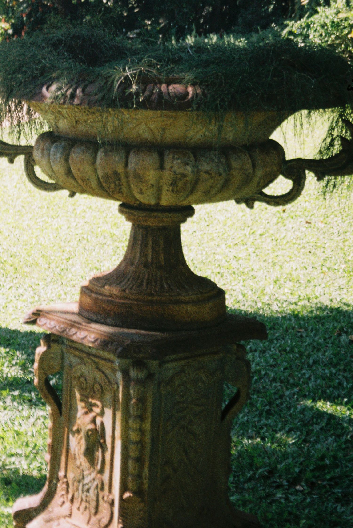 Ornate antique cast iron garden urn planter on decorative pedestal surrounded by green grass.