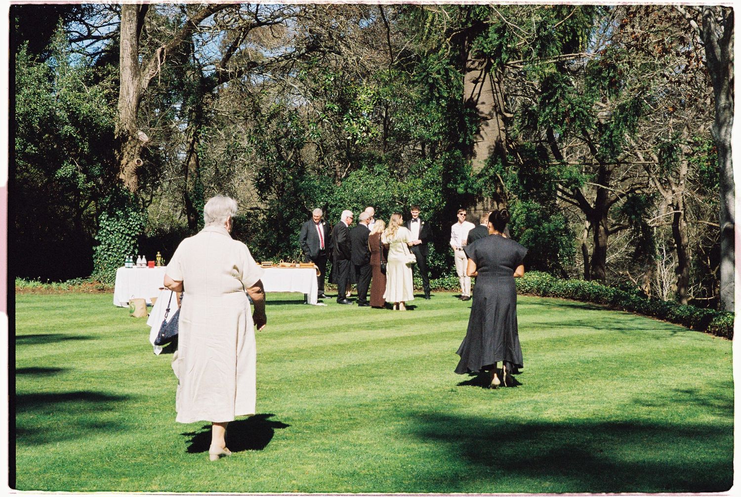 Wedding guests mingle on a manicured green lawn surrounded by tall trees during an outdoor garden reception.