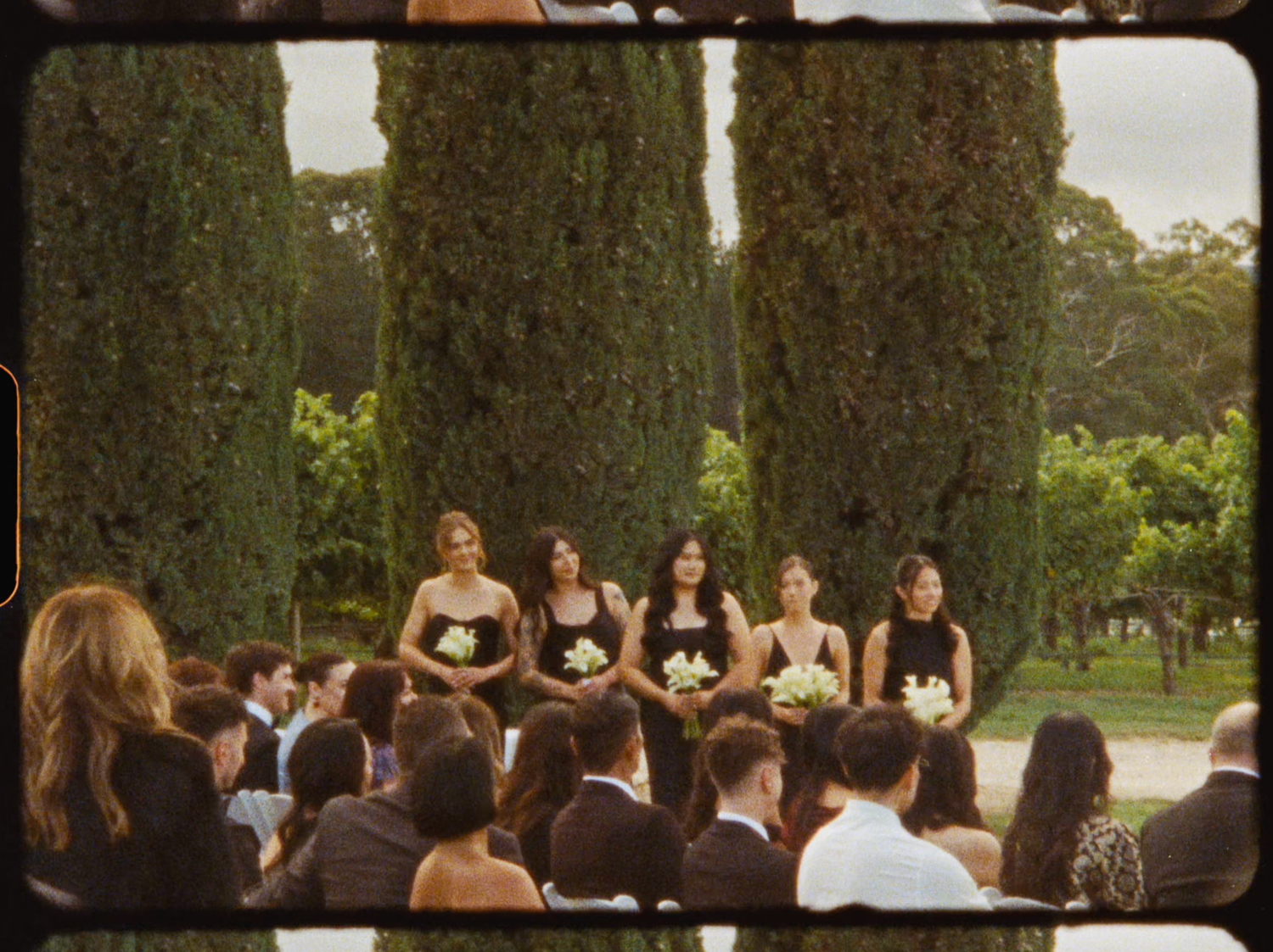 Bridesmaids in black dresses holding white bouquets standing before tall cypress trees at wedding.