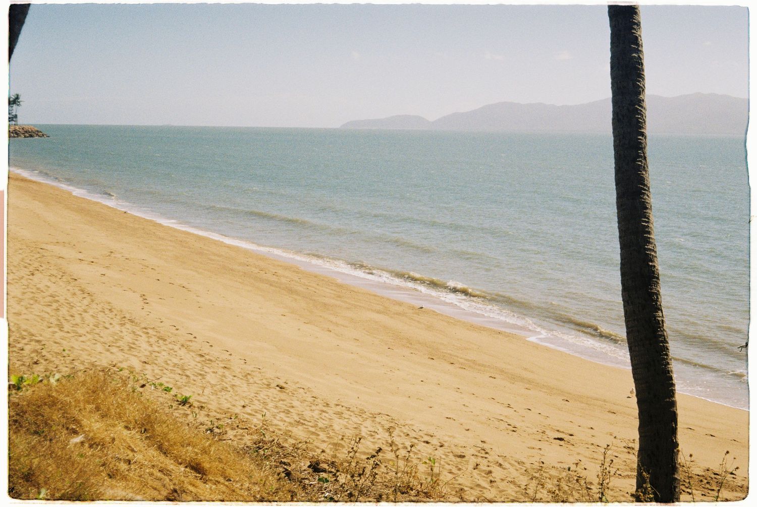 A serene tropical beach with golden sand, calm blue ocean waters, and a palm tree trunk framing the scenic coastal view.