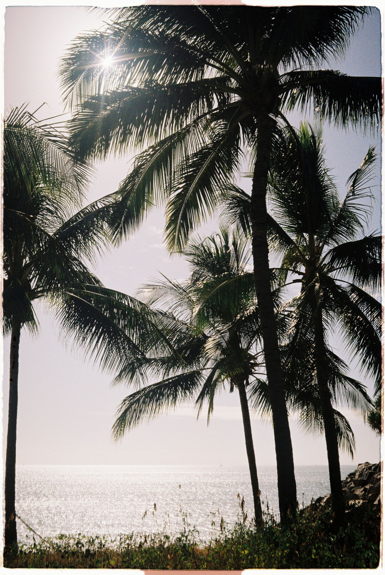 Dramatic silhouette of tall tropical palm trees against a bright shimmering ocean and sky.