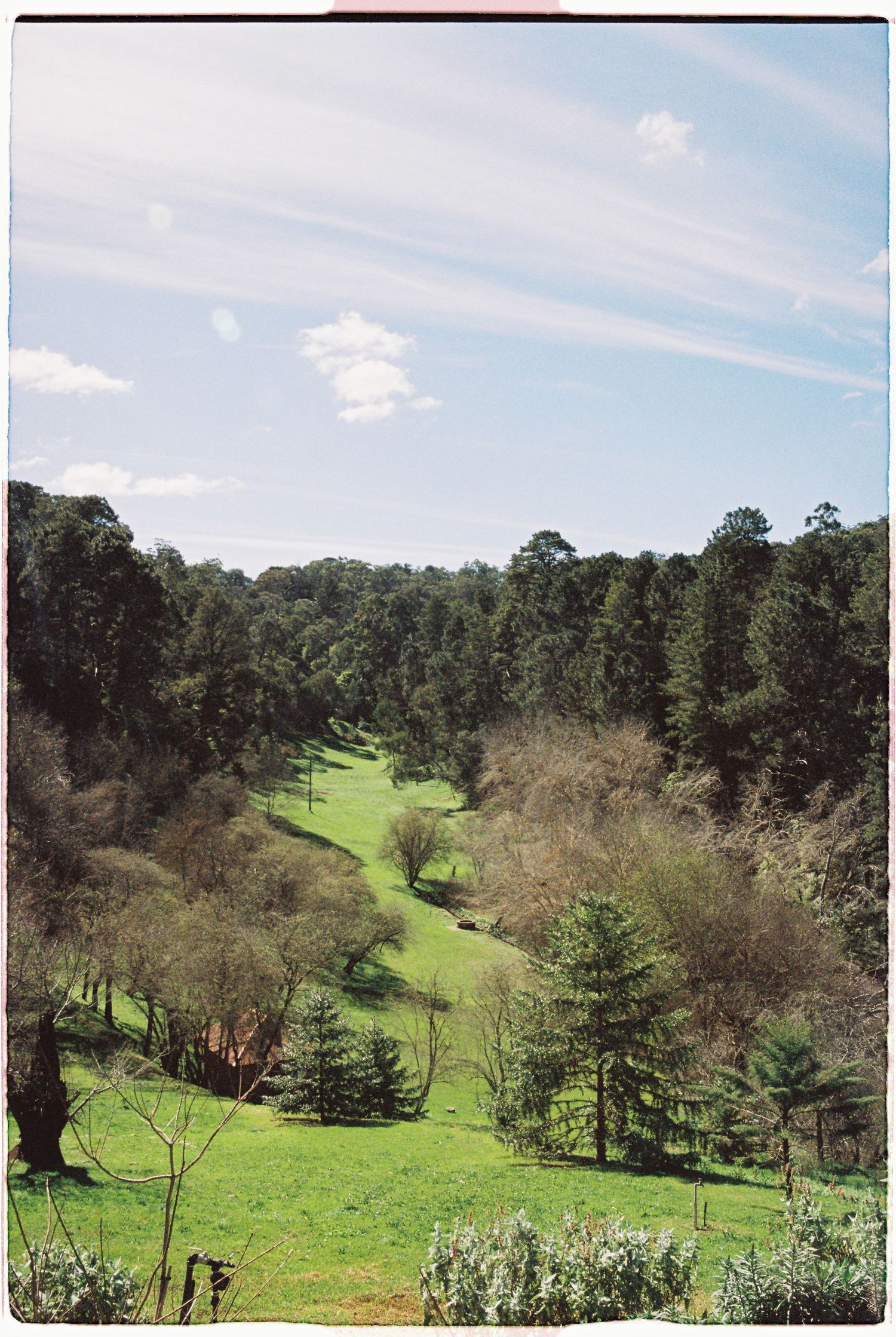 Lush green valley with tall trees and manicured lawn under a blue sky.