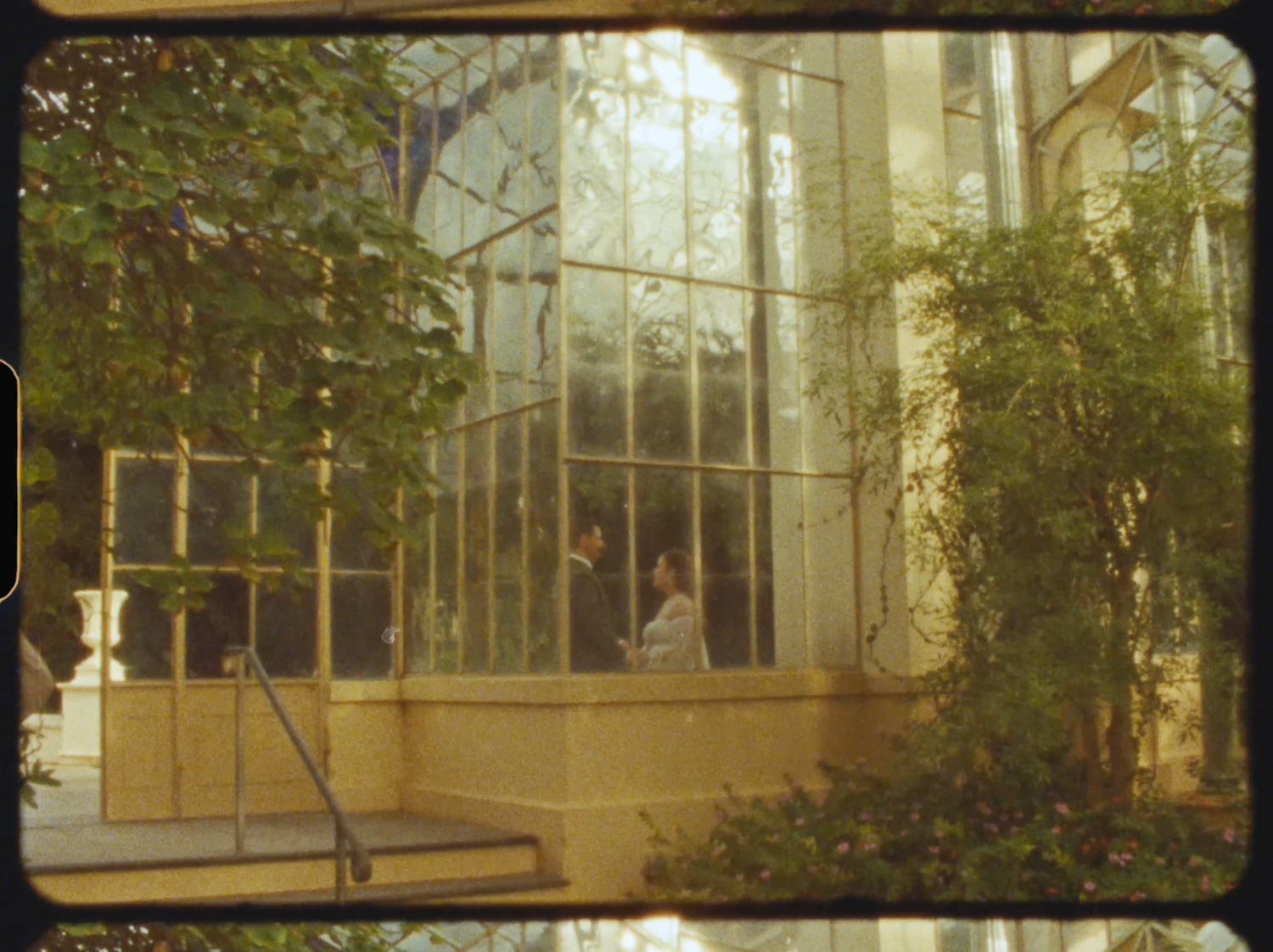 A person stands inside a sunlit greenhouse surrounded by lush green climbing plants and large windows.