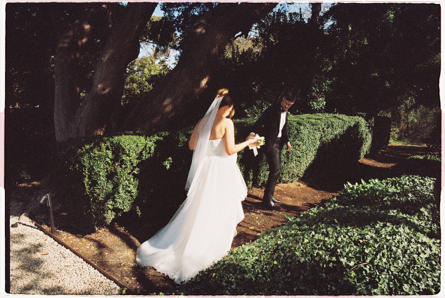 Bride in flowing white gown and veil walks with groom through lush garden hedges on wedding day.