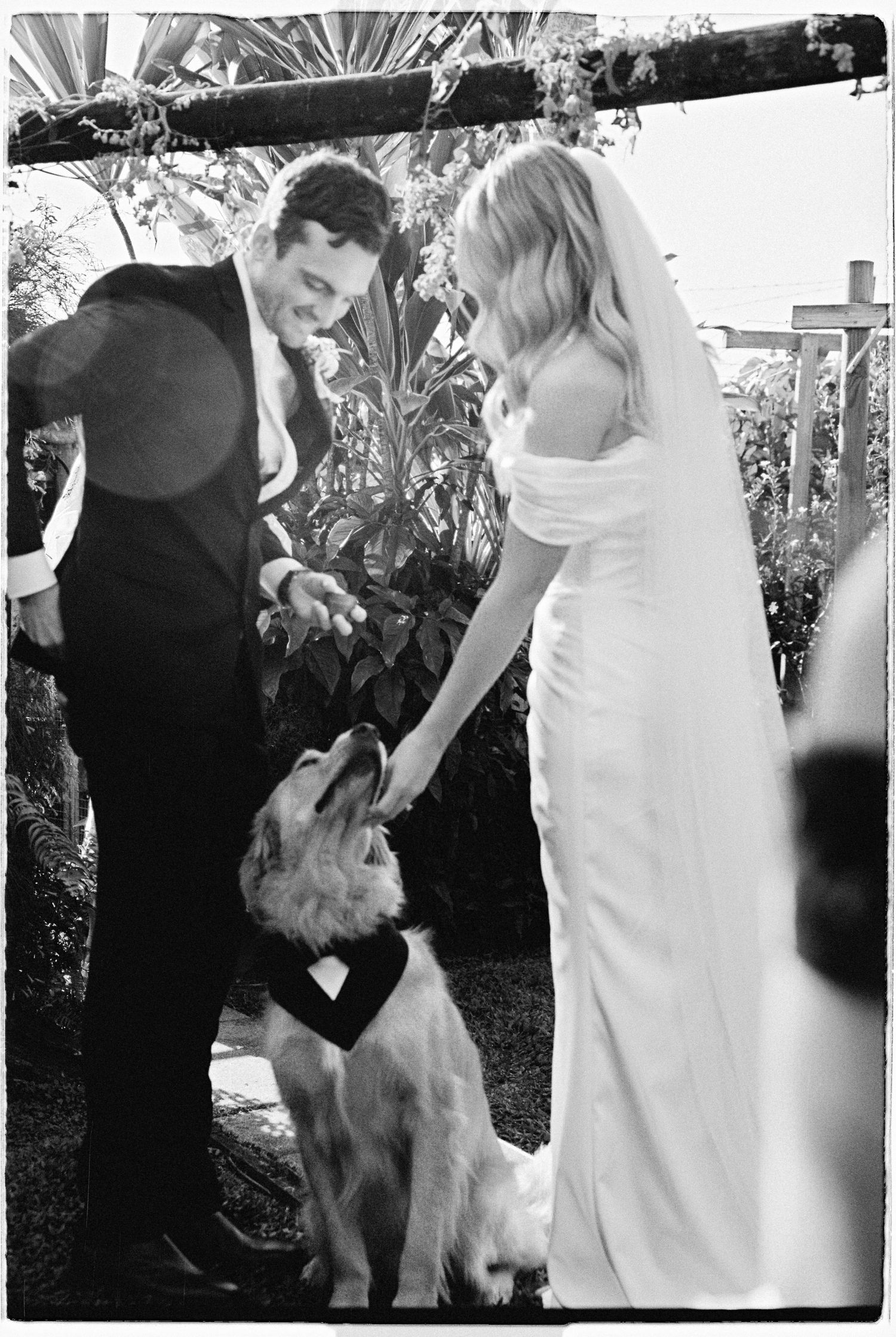 Black and white photo of newlyweds petting their golden retriever in tuxedo bib at wedding altar.