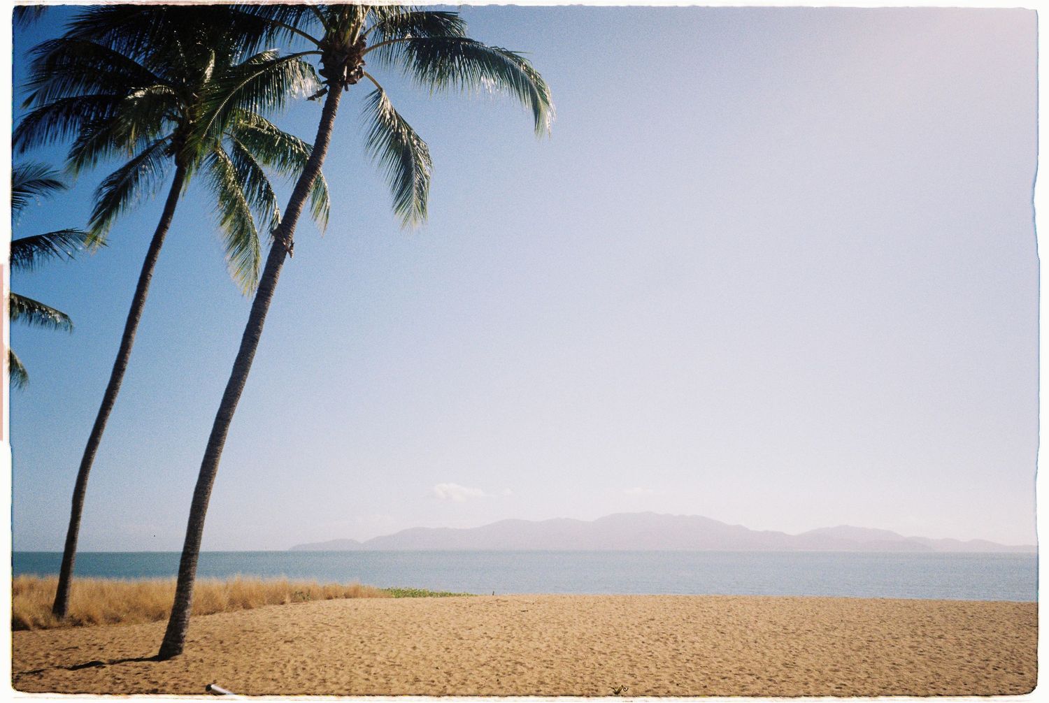 Tropical beach scene with tall palm trees, golden sand, calm blue ocean, and distant mountains under a clear sky.