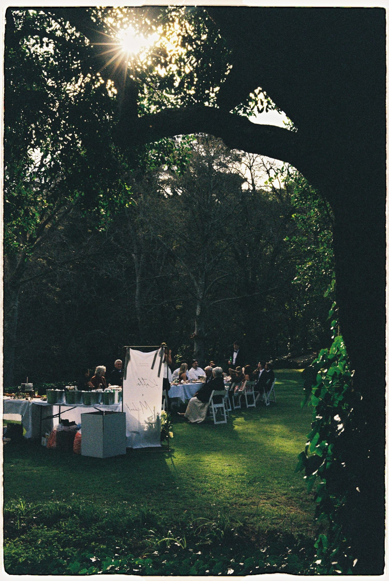 Elegant outdoor wedding reception set under large trees with sunlight filtering through the canopy.