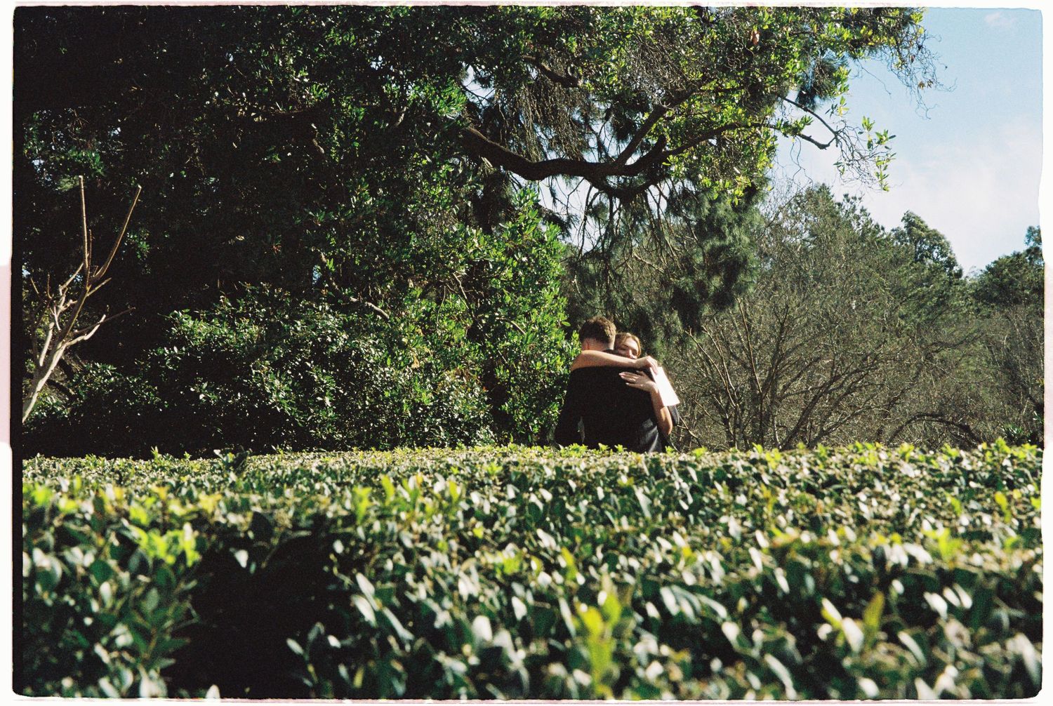 Couple embracing in a lush green garden surrounded by trees and dense foliage on a sunny day.