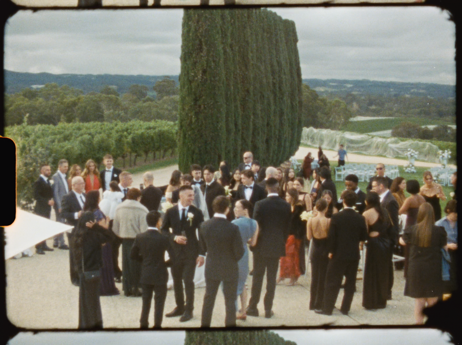 Guests mingle outdoors at an elegant winery wedding reception with lush green gardens and vineyard views.