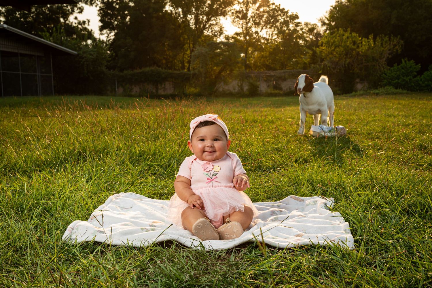 Toddler posing