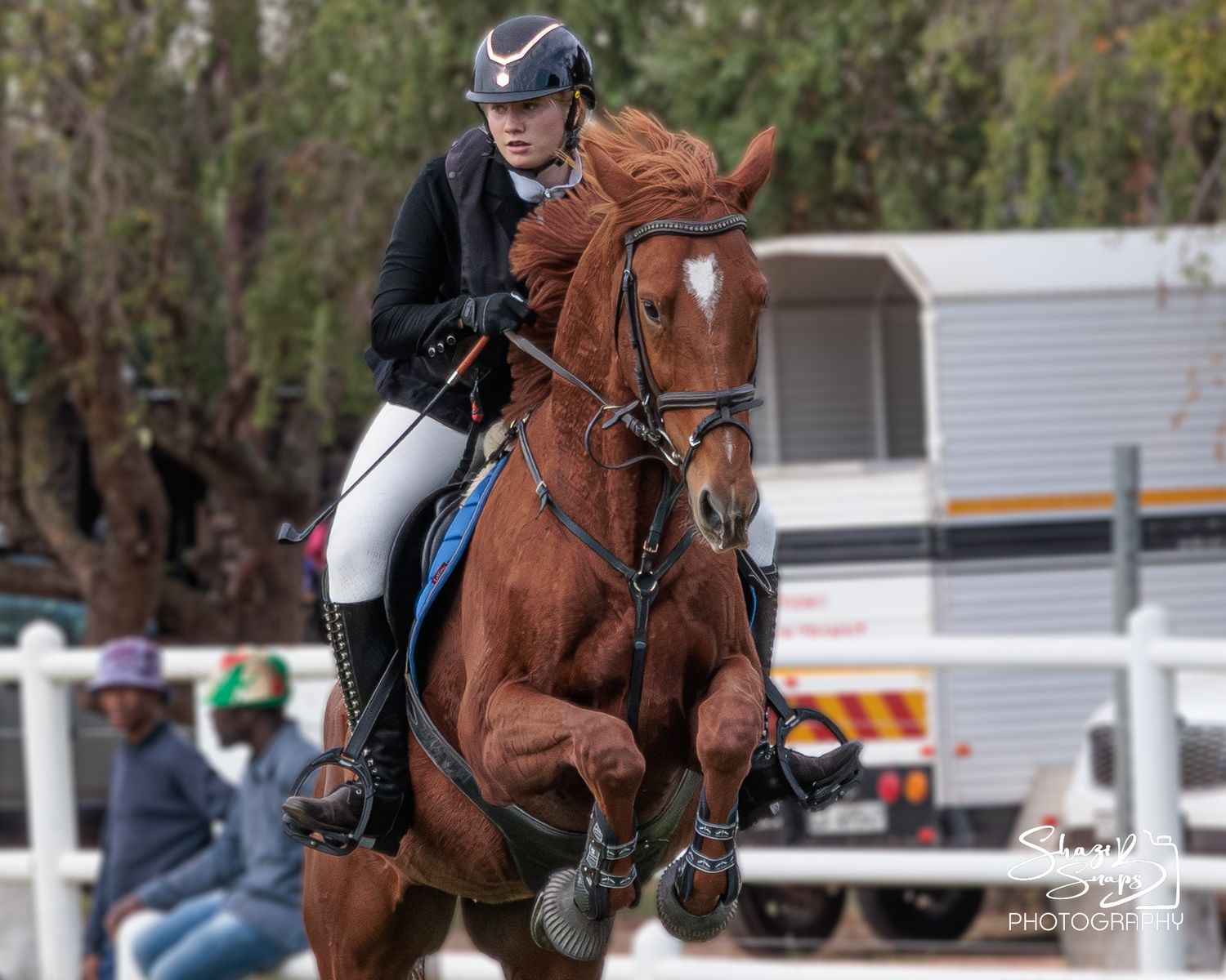 Horse 
Equine Photography